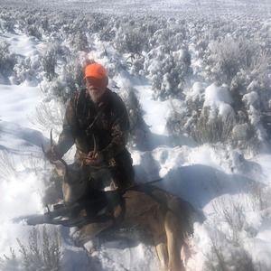 Meet your Posher, Dennis